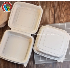 Biodegradable disposable lunch box wholesale
